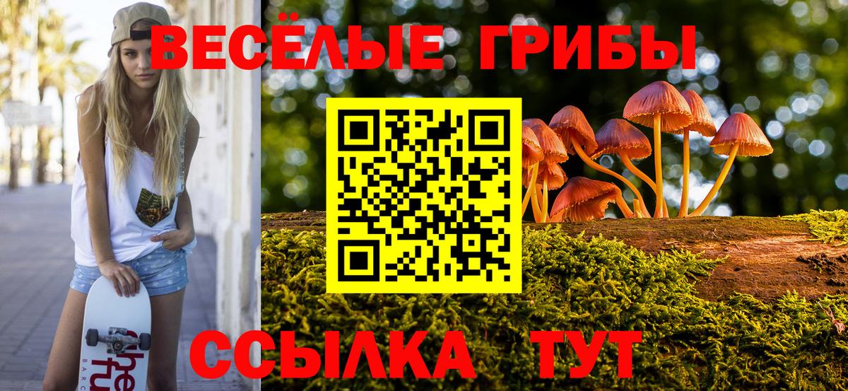 Псилоцибиновые грибы мухоморы  Вход с VPN  Галлюциногенные грибы Magic Shrooms  купить   Сорочинск 